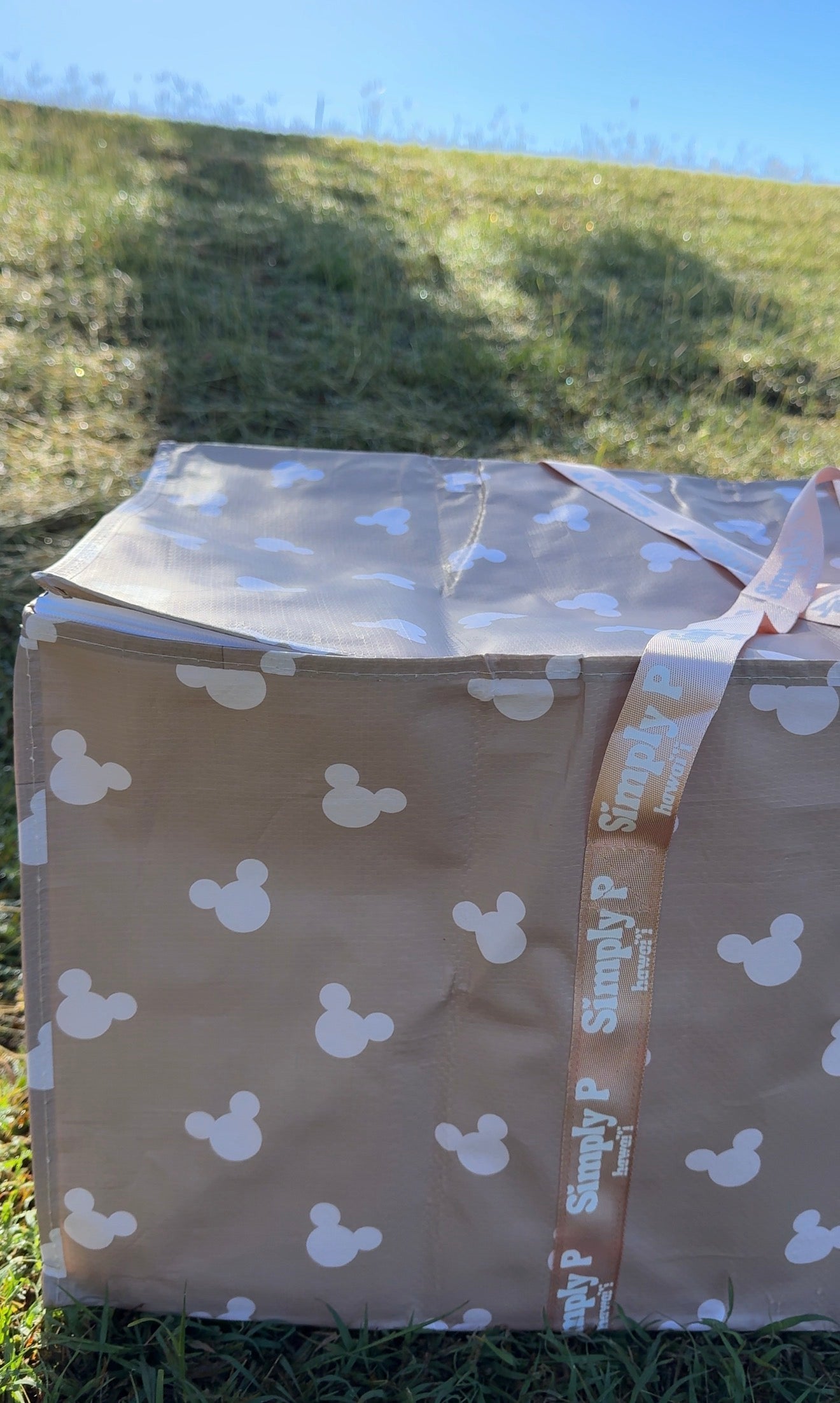 Zipper bulky bag- Subtle Mickey