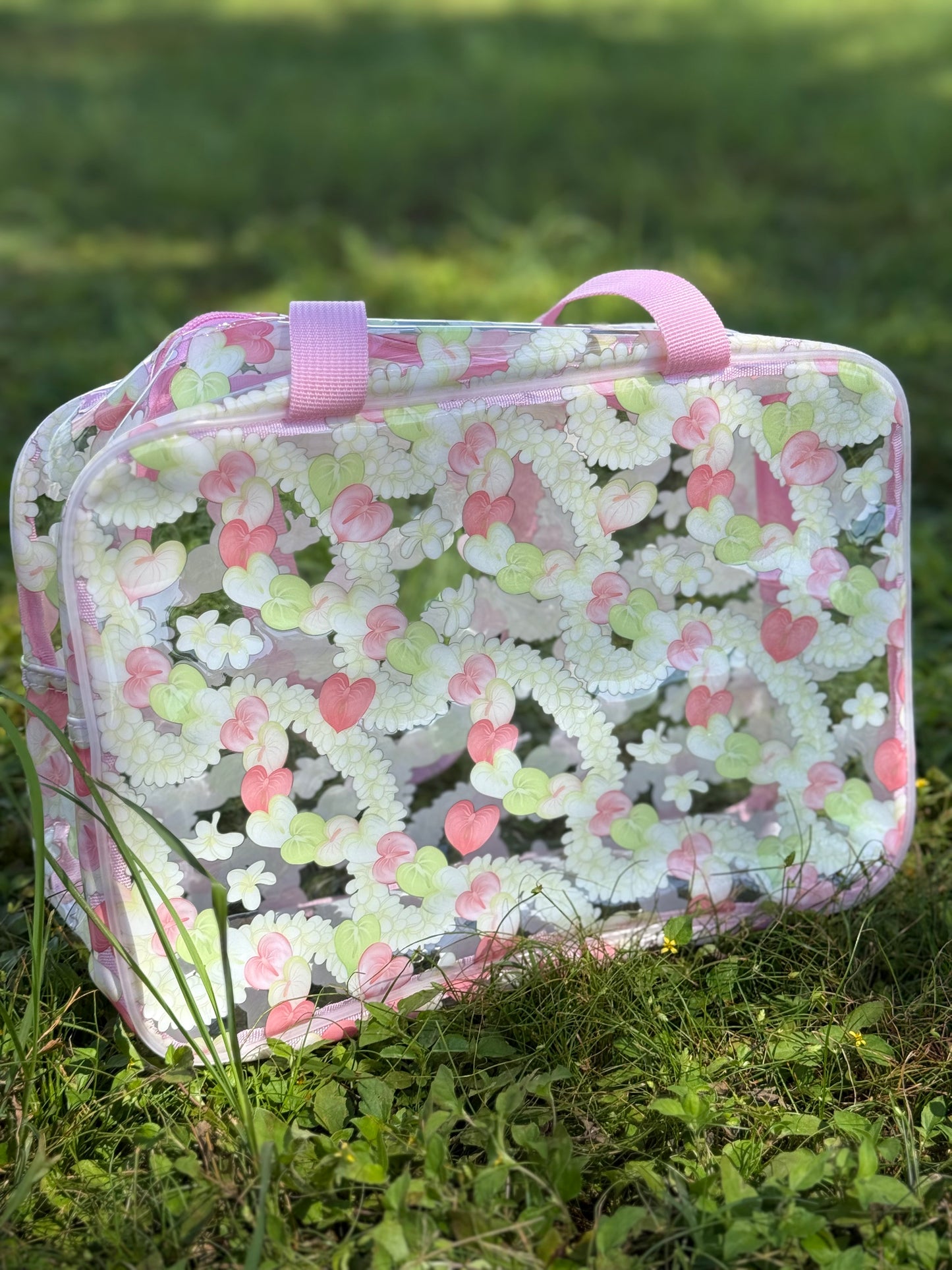 Clear bag- U’i Anthurium