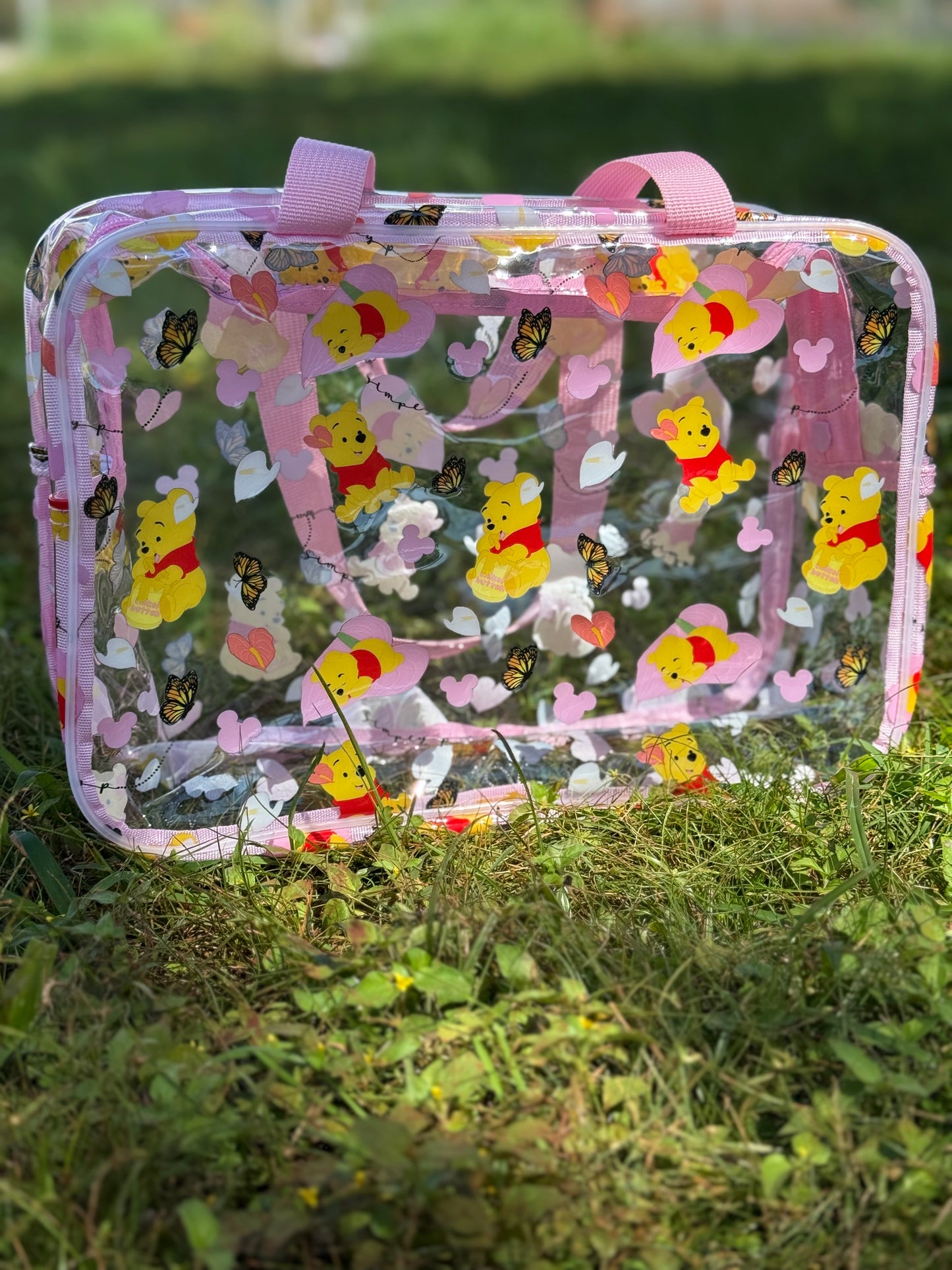 Clear bag- Poothurium
